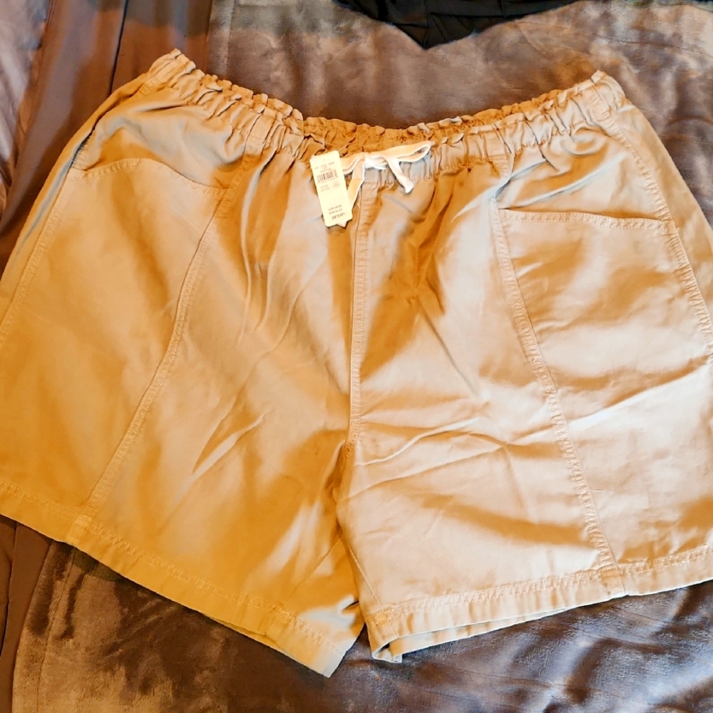 New With Tags Aerie Women's Tan Shorts, Size Xxl